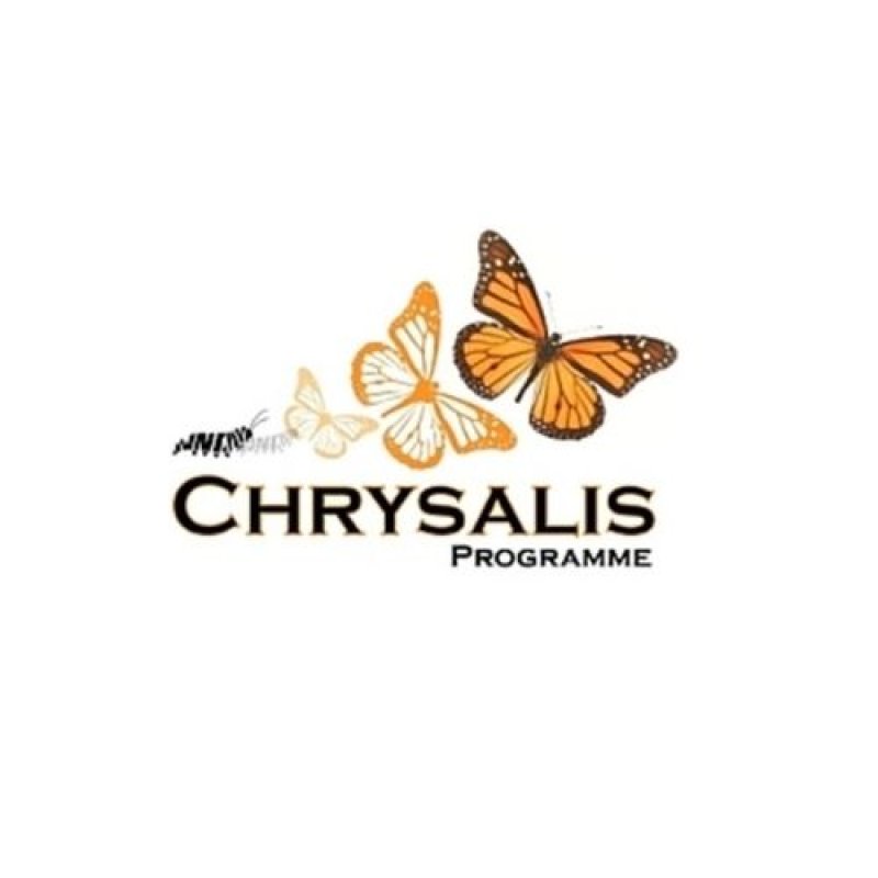 Chrysalis Programme